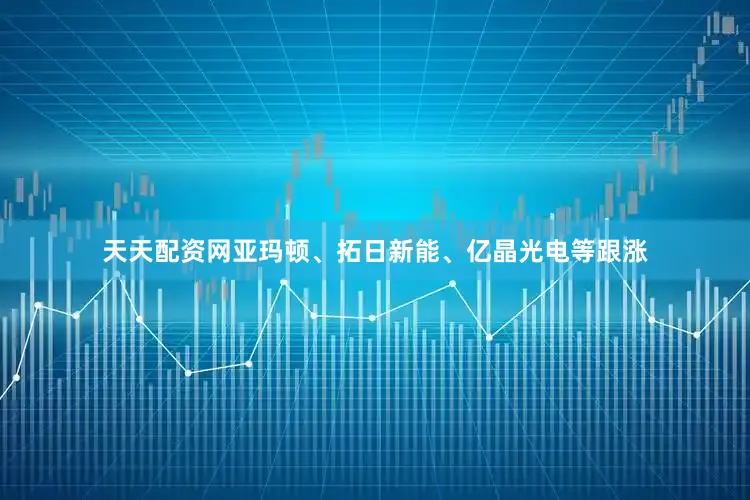 天天配资网亚玛顿、拓日新能、亿晶光电等跟涨