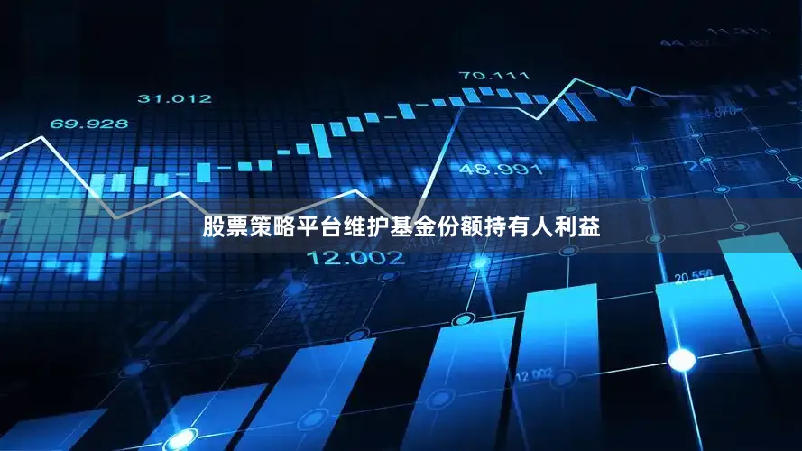 股票策略平台维护基金份额持有人利益