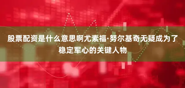 股票配资是什么意思啊尤素福·努尔基奇无疑成为了稳定军心的关键人物