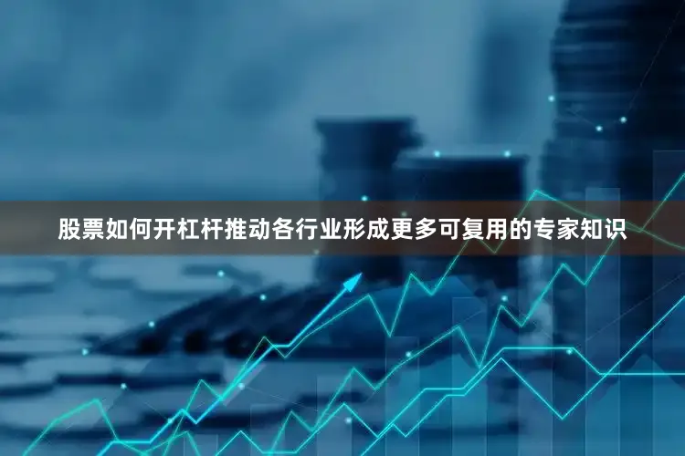 股票如何开杠杆推动各行业形成更多可复用的专家知识